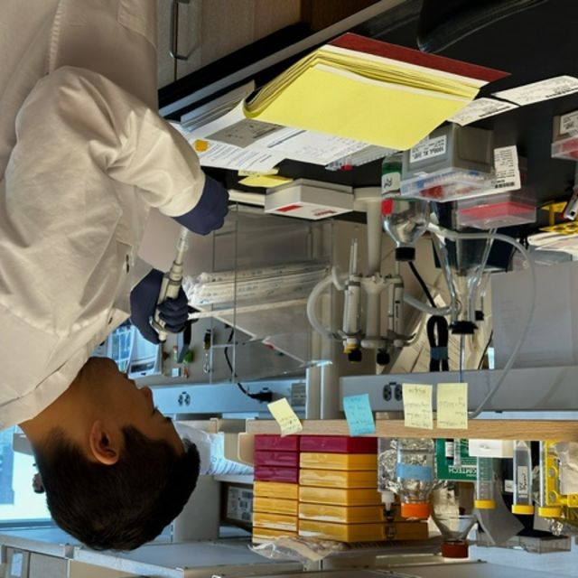 Scientist in Raghu Mirmira's lab using a pipette